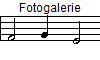 Fotogalerie